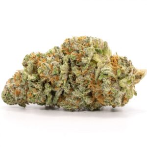 Northern Lights