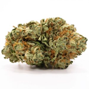 Hindu Kush