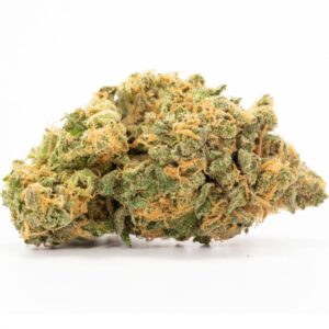 Hash Plant