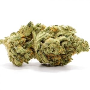 Original Glue