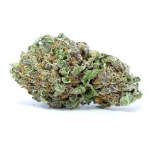 Yoda OG