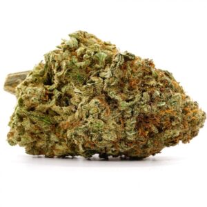 Critical Kush