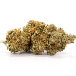 AK 47 strain