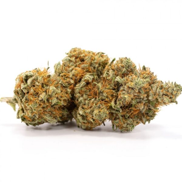 AK 47 strain