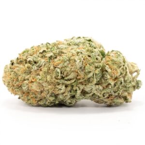 Girl Scout Cookies