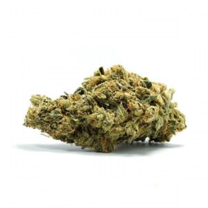 Lemon Skunk