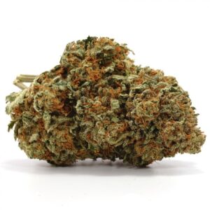 NYC Diesel