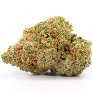 Jack Frost