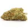 Tangerine Dream