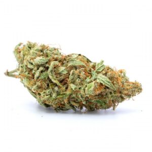 White Lavender