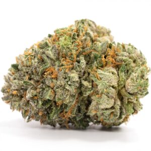 Permafrost