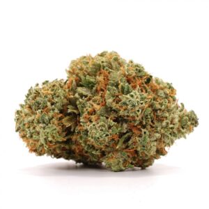 Jet Fuel