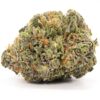 THC Bomb