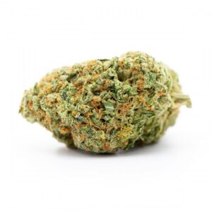 Mimosa