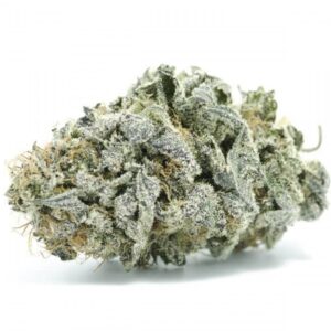 Lavender Jones