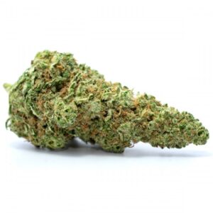 Juicy Jack