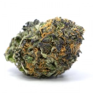 Purple Dream