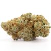 White Rhino