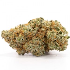 White Rhino
