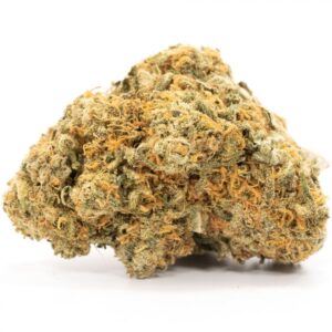 9 Pound Hammer Strain
