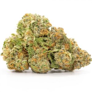 Gelato