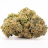 Animal Cookies strain