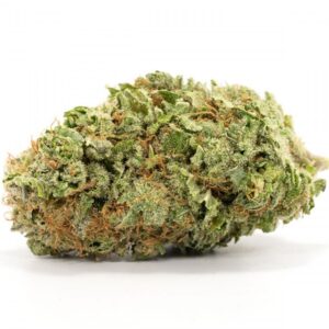 Agent Orange Strain