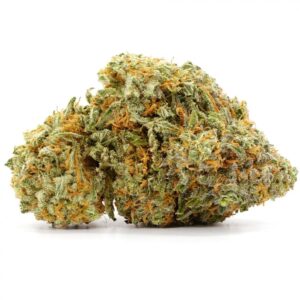 Jack Diesel