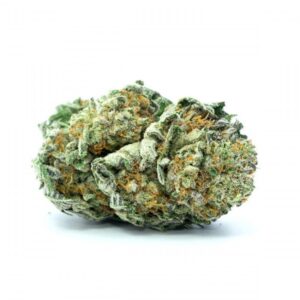 Jamaican
