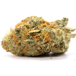 Purple Tangie