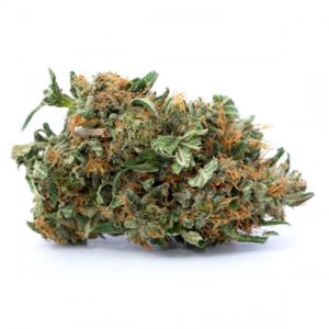 Candyland