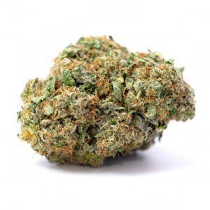 Chocolope