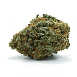 White Haze
