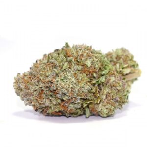 Purple Haze